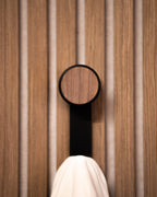 SlatWall Hooks