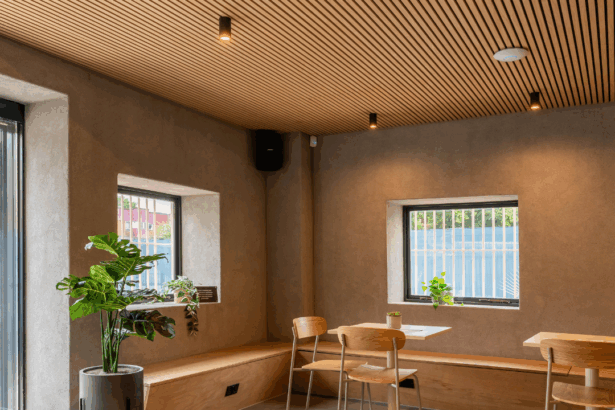 Wall Panels | Natural Oak Acoustic Panels | The Wall Exchange